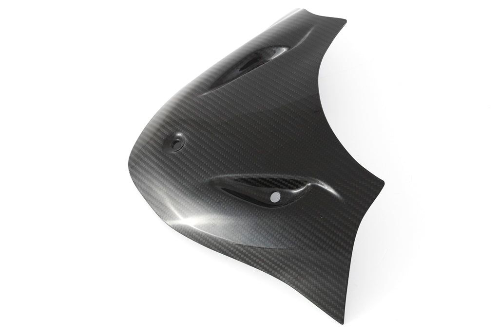 Headlight Fairing - Extension Cover